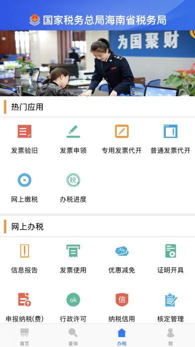 海南省电子税务局 Screenshot