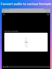 audio type converter ipad images 1