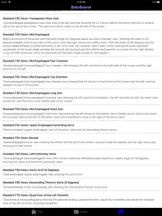 echosource ipad resimleri 4