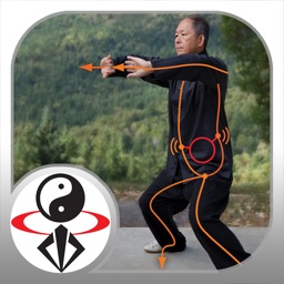 Neigong Qigong Exercises