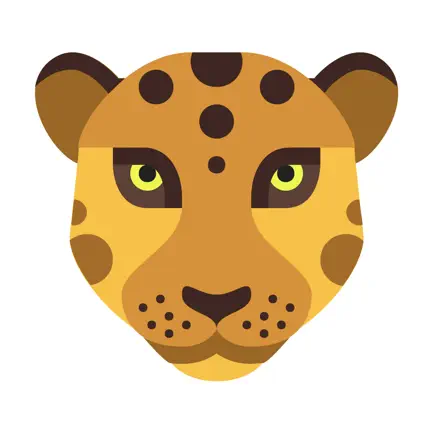 MORPH - Face Story & Flipagram Читы