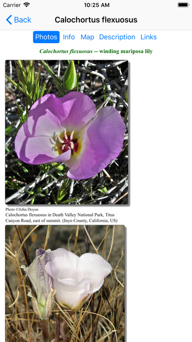 Nevada Wildflowers Screenshot