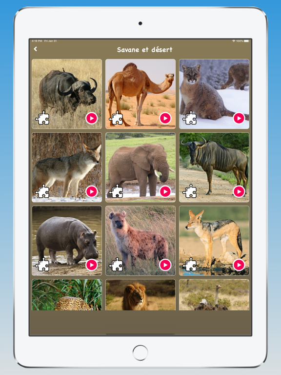 Screenshot #6 pour Sons d'animaux, Langue animale