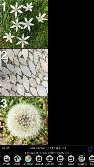 Mosaic Photo & Video Collage screenshot 2