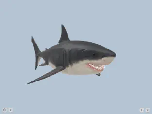 Screenshot 2 Megalodon iphone