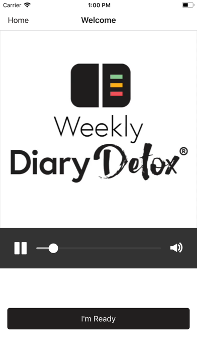 Diary Detox screenshot 2