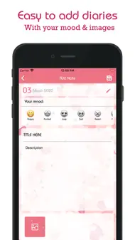 Secret Diary Daily with Lock iphone bilder 2