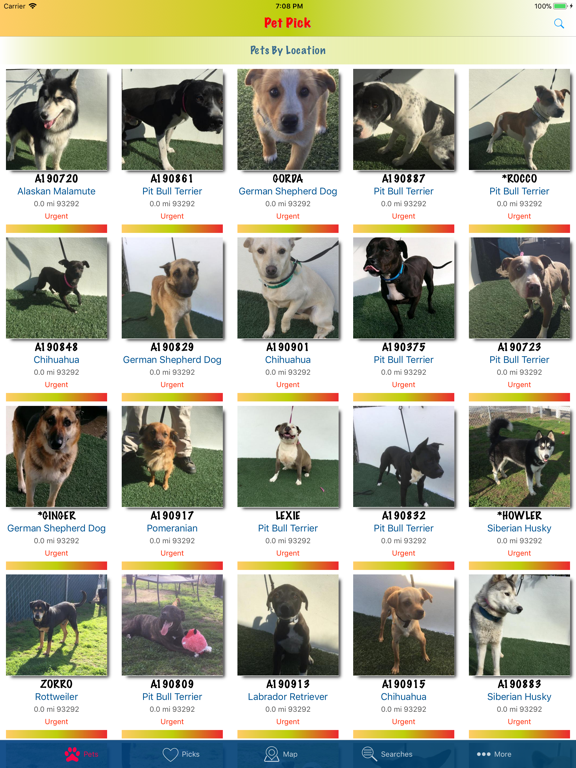 Pet Pick iPad screenshot 1 - Lifestyle app