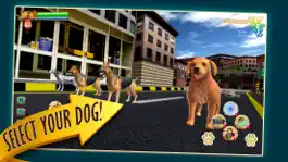 Game screenshot Zoro Pet Dog Race hack