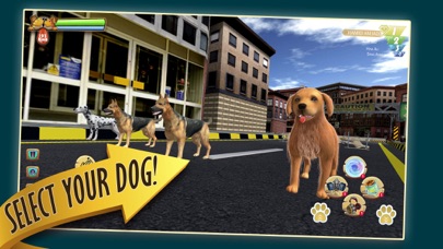 Zoro Pet Dog Raceのおすすめ画像3