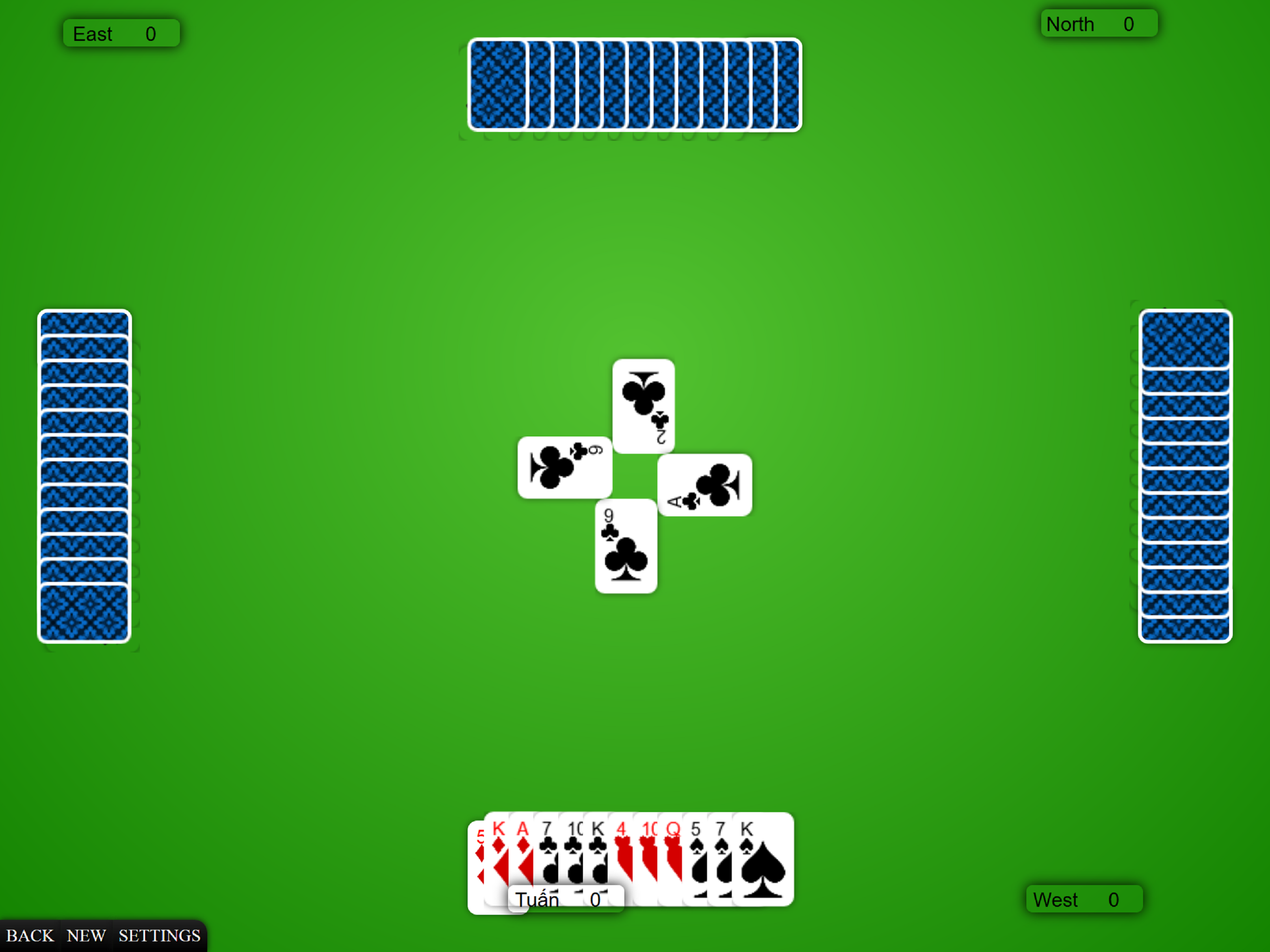 Cards Solitaire screenshot 14
