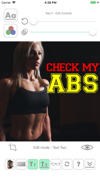 photo-meme screenshot-0