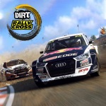 Dirt Rallycross