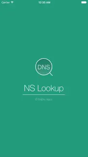 nslookup plus problems & solutions and troubleshooting guide - 2