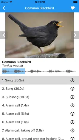 Game screenshot BirdSounds Europe mod apk