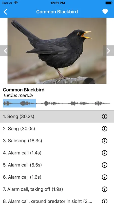 BirdSounds Europe screenshot 1 of 6