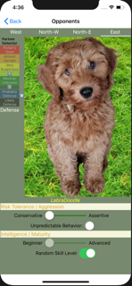 K9 Sheepshead: Schafkopf screenshot 6