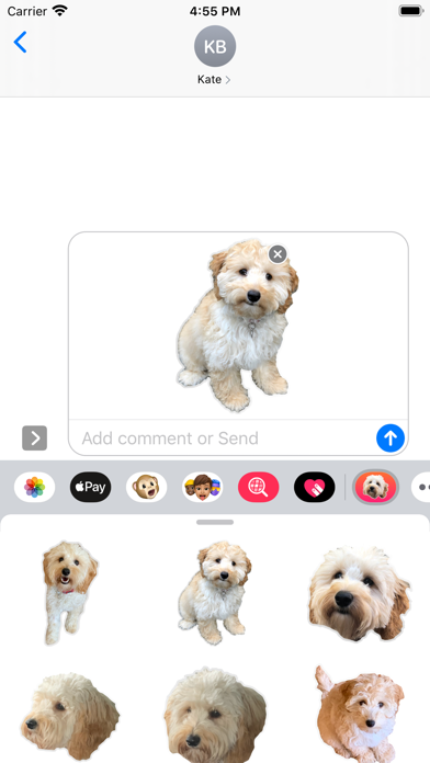 Bella the Spoodle Stickers Screenshot 1 - AppWisp.com Bella the Spoodle Stickers Screenshot 1 - AppWisp.com
