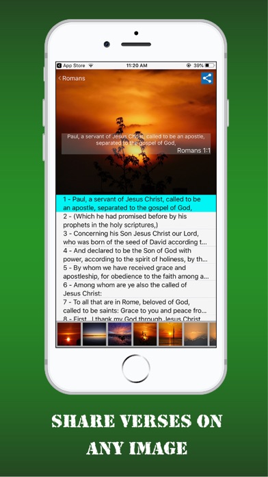 Revised Webster Bible Screenshot