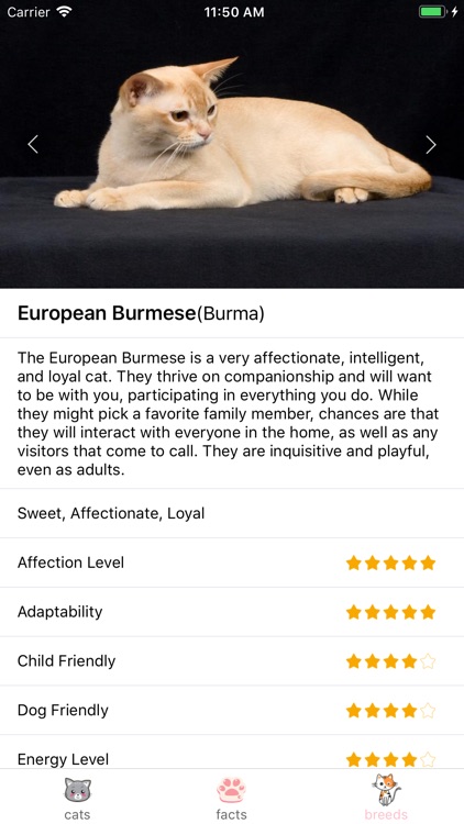 CatClawPhoto screenshot-3