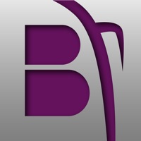 Bilman Bus pour PC