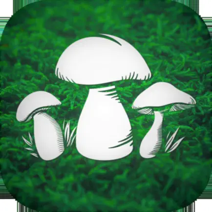 The Mushroom Hunter Cheats