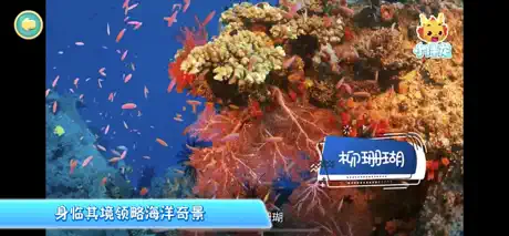 小伴龙海洋世界