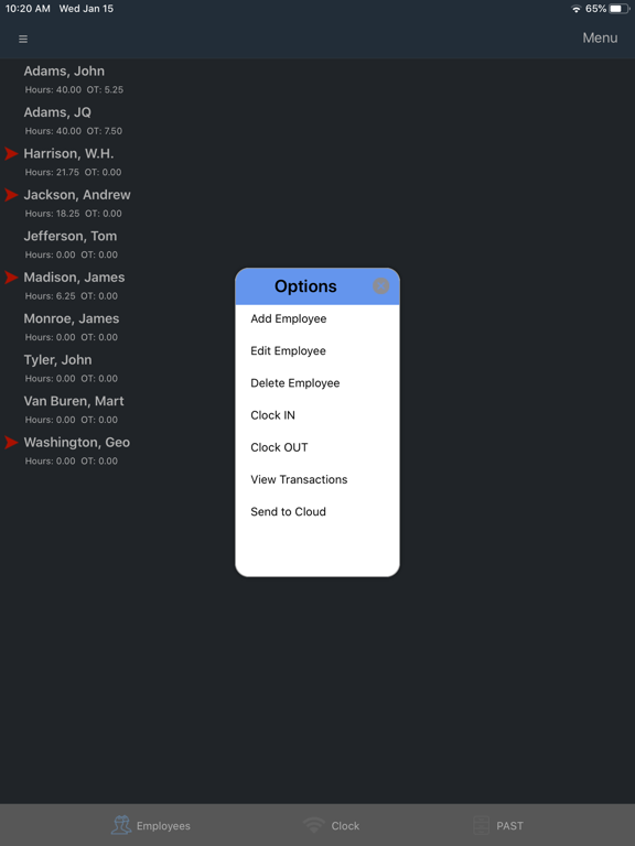 TimePilot Extreme Blue II iPad screenshot 2 - Business app