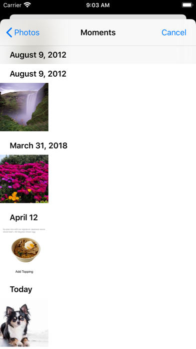 dog background remover iPhone screenshot 4 - Photo & Video app