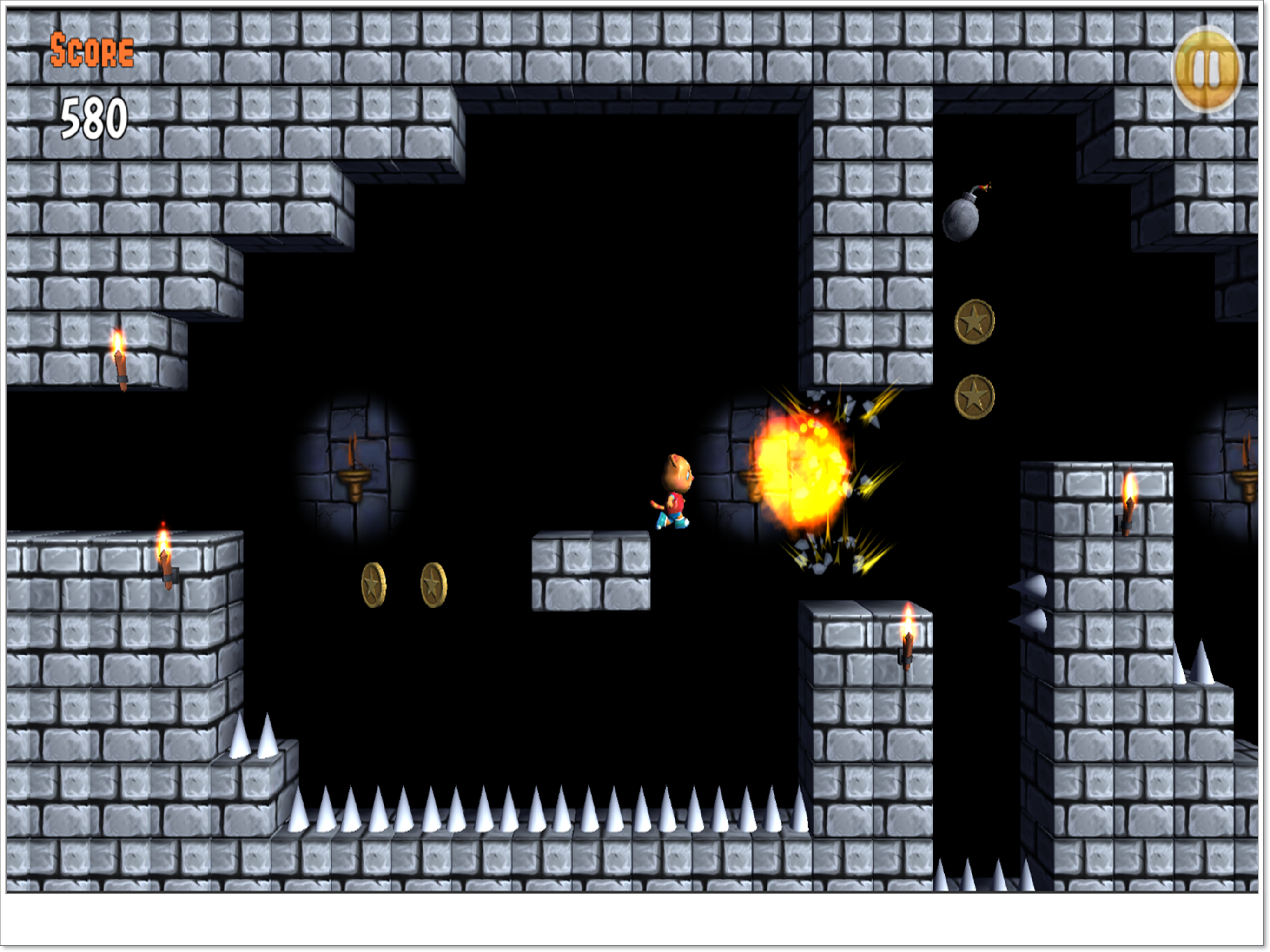 Bomber Cat Run
