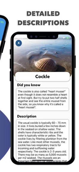 Game screenshot Beach Detector - Your guide hack