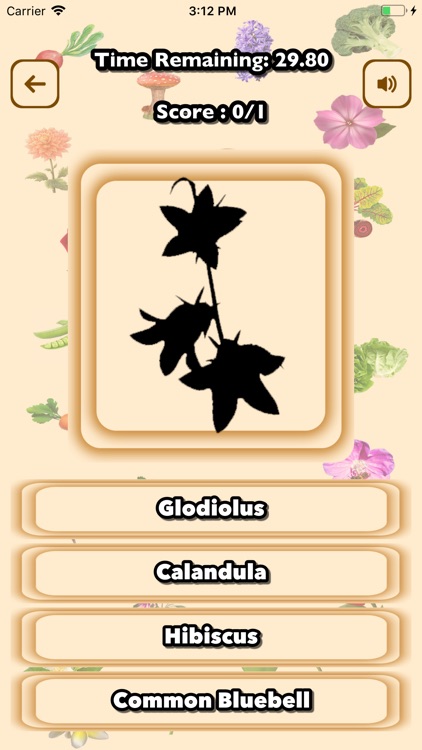 Master Guess Vegetable Flower screenshot-4