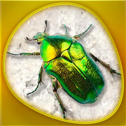 Animals 360 - Insecta Gold Cheats