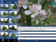 Tree Id identify UK trees ipad bilder 1
