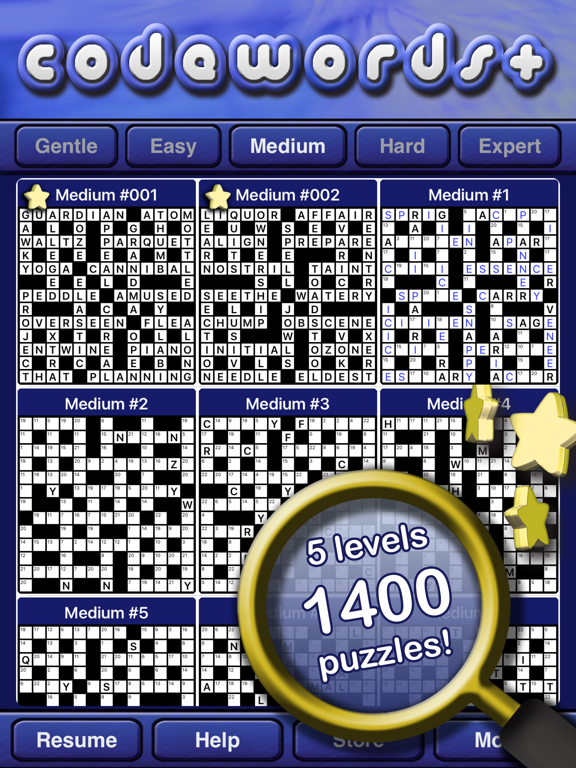 Codewords + iPad screenshot