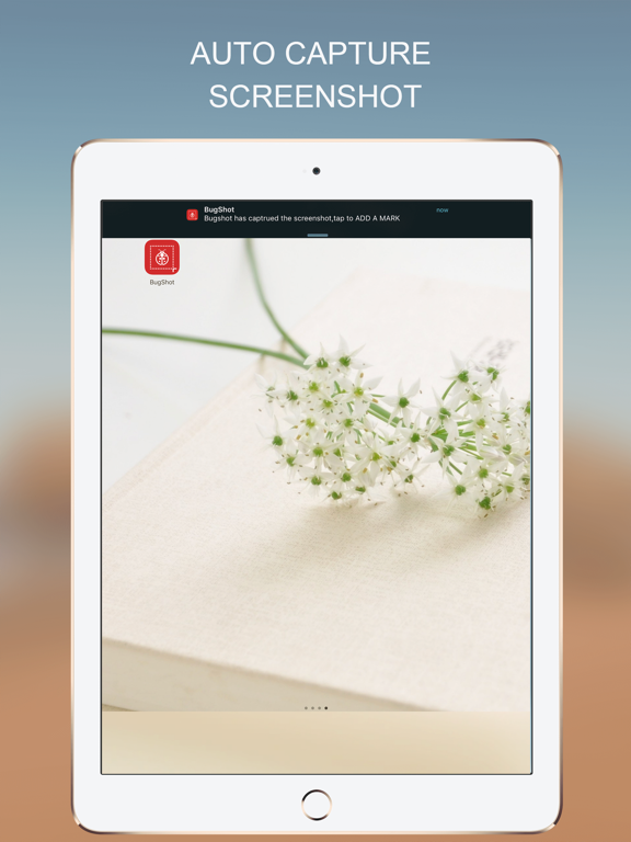 BugShot, Mark Photo with VOICE iPad screenshot 4 - Productivity app