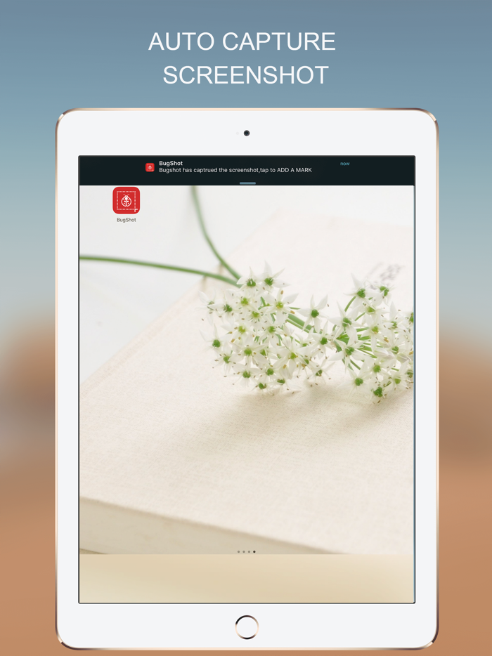 BugShot Mark Photo with VOICE