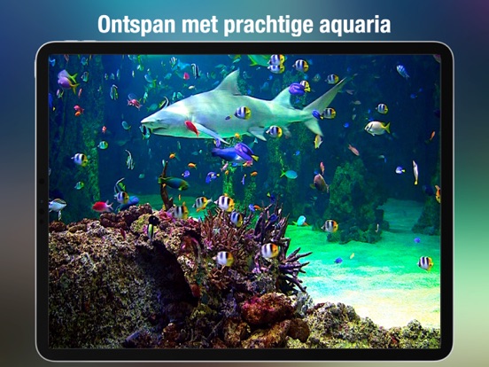 Aquarium Live HD iPad app afbeelding 1