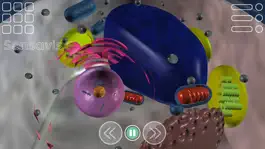 Game screenshot Sensavis Visual Learning Tool apk