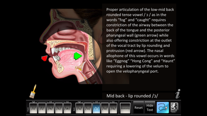 Screenshot #2 pour Vowels Front Back