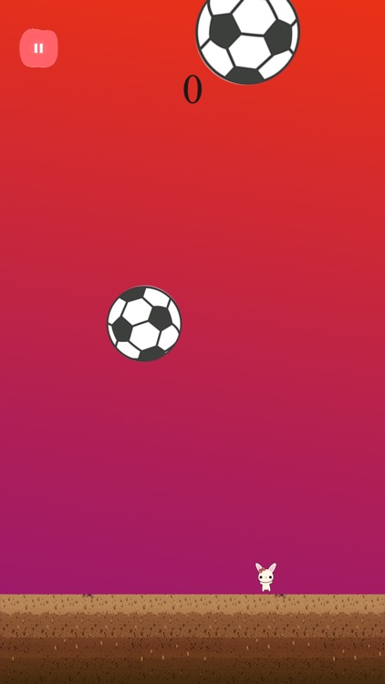 Rabbit Dodge Football