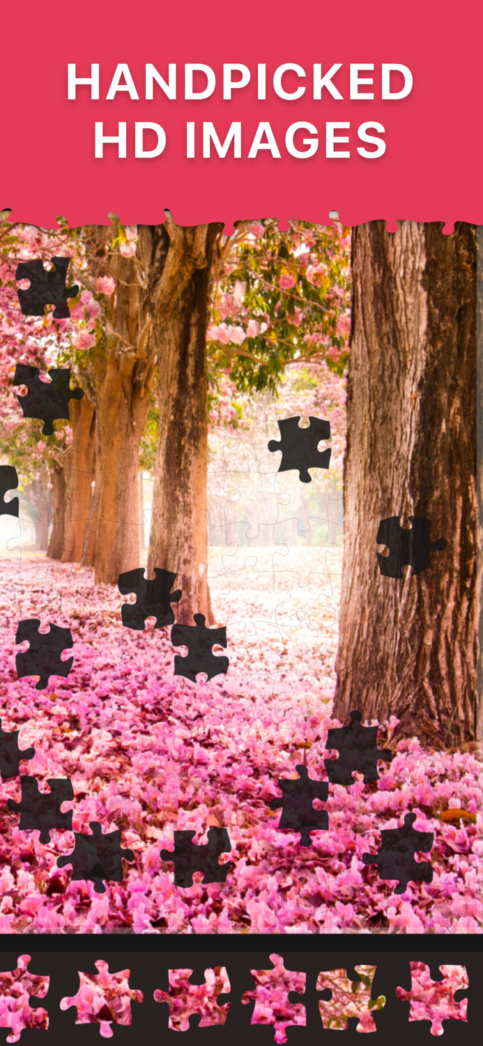 Daily Jigsaw Puzzles