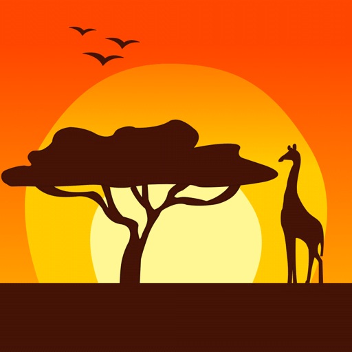 Safari Run 3D icon