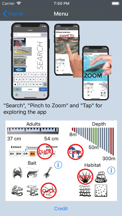 Fish Bait Lure Lite Quiz 2020 screenshot-6