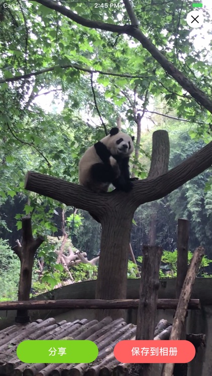 动态壁纸：4k高清主题壁纸