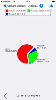 visual budget - compta perso iPhone Captures Décran 2