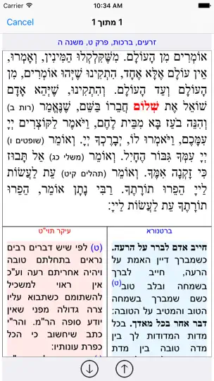 Esh Mishna אש משנה iPhone Screenshot 3