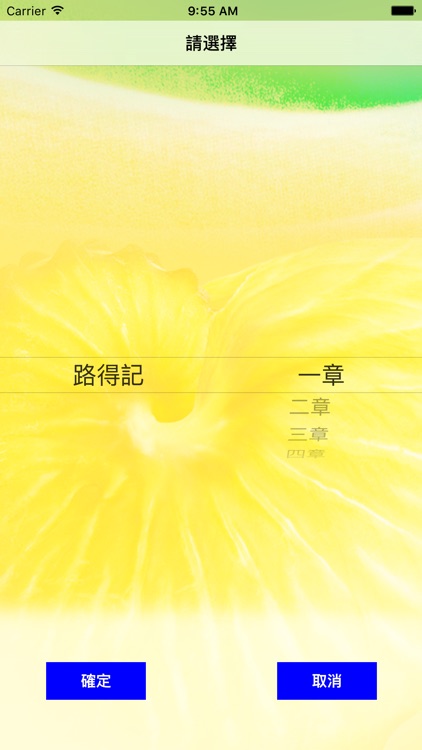 聖經．國語聆聽版 Audio Bible Mandarin