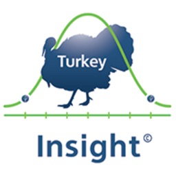Turkey-Insight