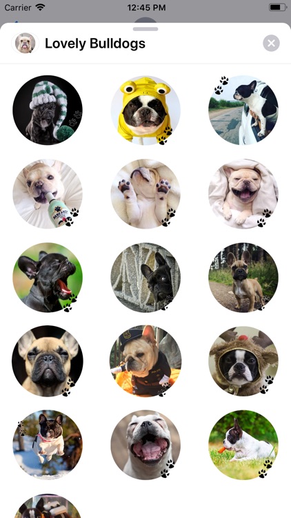 Lovely Bulldogs Sticker Pack